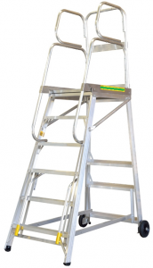 Platform Ladder SWMS