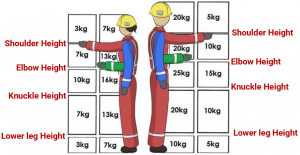 Safe Manual Handling Weight Guidelines